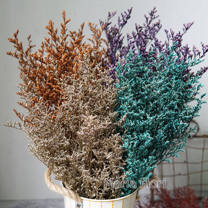 Supply Event - 50g/Preserved Valentine's Grass Limonium Flower Lover